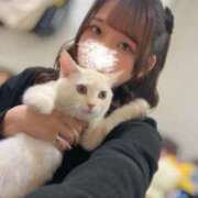 ヒメ日記 2025/11/02 02:29 投稿 うた どMばすたーず すすきの店