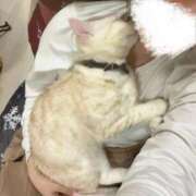 ヒメ日記 2025/12/01 14:29 投稿 うた どMばすたーず すすきの店