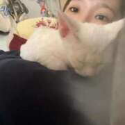 うた ｱﾘｶﾞﾄｳｺﾞｻﾞｲﾏｼﾀ!! どMばすたーず すすきの店