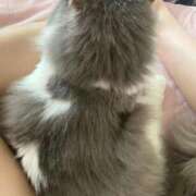 ヒメ日記 2025/11/07 03:16 投稿 りず 吉原ファーストレディ