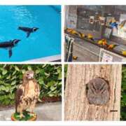 ヒメ日記 2026/02/01 13:16 投稿 りず 吉原ファーストレディ