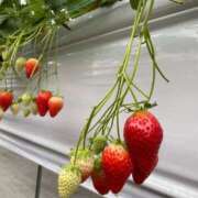 りず 来週💕 吉原ファーストレディ