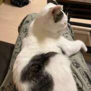 れいら 🥲 吉原ファーストレディ