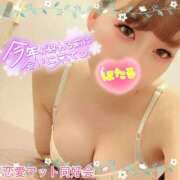 ヒメ日記 2025/12/29 18:53 投稿 ほたる 横浜ハッピーマットパラダイス