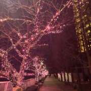 ヒメ日記 2025/12/30 07:19 投稿 なつき いきなりラブ彼女