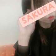 ヒメ日記 2025/12/18 12:01 投稿 さくら 沼津人妻花壇