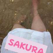 ヒメ日記 2025/12/28 15:26 投稿 さくら 沼津人妻花壇