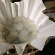 ヒメ日記 2026/01/08 09:21 投稿 さくら 沼津人妻花壇