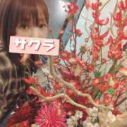 ヒメ日記 2026/01/29 14:31 投稿 さくら 沼津人妻花壇