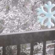 ヒメ日記 2026/02/08 13:56 投稿 さくら 沼津人妻花壇