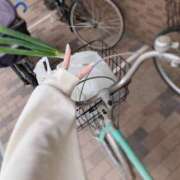 ヒメ日記 2025/11/04 22:33 投稿 るみな NEW GENERATION