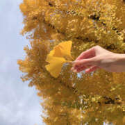 ヒメ日記 2025/12/19 12:03 投稿 るみな NEW GENERATION