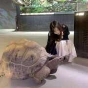 ヒメ日記 2026/01/21 11:51 投稿 るみな NEW GENERATION