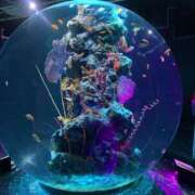 ヒメ日記 2026/01/22 06:12 投稿 るみな NEW GENERATION