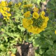 ヒメ日記 2026/02/26 10:06 投稿 るみな NEW GENERATION