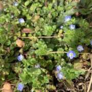 ヒメ日記 2026/03/03 07:33 投稿 るみな NEW GENERATION