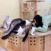 ヒメ日記 2026/03/27 18:21 投稿 るみな NEW GENERATION