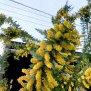 ヒメ日記 2026/04/01 19:03 投稿 るみな NEW GENERATION