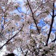 ヒメ日記 2026/04/07 05:57 投稿 るみな NEW GENERATION