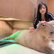 ヒメ日記 2026/06/11 13:51 投稿 るみな NEW GENERATION