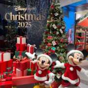 ヒメ日記 2025/12/20 04:19 投稿 涼宮みみ 五反田 必要以上のエステ（シンデレラグループ）