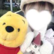 ヒメ日記 2026/02/16 12:36 投稿 みみ 品川ラズベリー（シンデレラグループ）