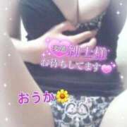 ヒメ日記 2025/09/08 12:22 投稿 おうか 熟女の風俗最終章 新宿店