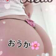 ヒメ日記 2025/11/12 14:02 投稿 おうか 熟女の風俗最終章 新宿店