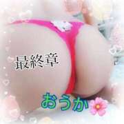 ヒメ日記 2025/11/13 10:47 投稿 おうか 熟女の風俗最終章 新宿店