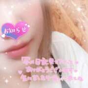 ヒメ日記 2025/11/13 22:02 投稿 おうか 熟女の風俗最終章 新宿店