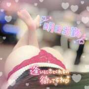 ヒメ日記 2026/02/05 13:02 投稿 おうか 熟女の風俗最終章 新宿店