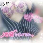 ヒメ日記 2025/10/09 16:03 投稿 おうか 熟女の風俗最終章 池袋店