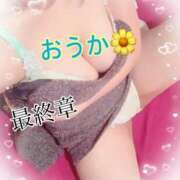 ヒメ日記 2025/11/12 10:42 投稿 おうか 熟女の風俗最終章 池袋店