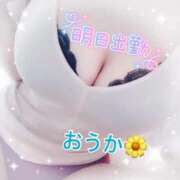 ヒメ日記 2025/11/19 17:32 投稿 おうか 熟女の風俗最終章 池袋店