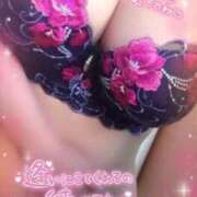 ヒメ日記 2025/12/12 08:42 投稿 おうか 熟女の風俗最終章 池袋店