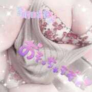 おうか 完全復活!?🤭✨ 熟女の風俗最終章 池袋店