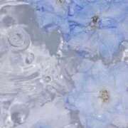 ヒメ日記 2025/09/13 03:42 投稿 Madonna【マドンナ】 Evolution 2nd