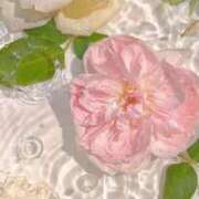 ヒメ日記 2025/09/15 03:42 投稿 Madonna【マドンナ】 Evolution 2nd