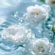 ヒメ日記 2025/09/16 01:32 投稿 Madonna【マドンナ】 Evolution 2nd