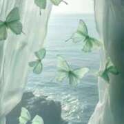 ヒメ日記 2025/09/24 14:03 投稿 Madonna【マドンナ】 Evolution 2nd