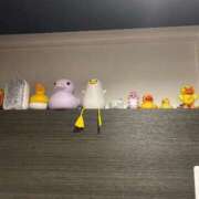 ヒメ日記 2025/09/24 17:52 投稿 Madonna【マドンナ】 Evolution 2nd