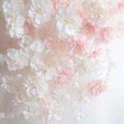 ヒメ日記 2025/09/27 08:56 投稿 Madonna【マドンナ】 Evolution 2nd