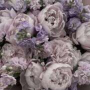 ヒメ日記 2025/09/28 03:18 投稿 Madonna【マドンナ】 Evolution 2nd