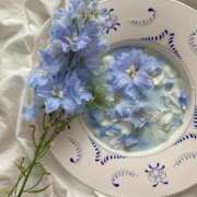 ヒメ日記 2025/10/04 01:12 投稿 Madonna【マドンナ】 Evolution 2nd