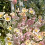 ヒメ日記 2025/10/11 20:42 投稿 Madonna【マドンナ】 Evolution 2nd