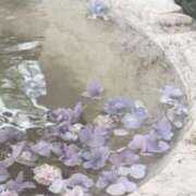 ヒメ日記 2025/10/13 01:22 投稿 Madonna【マドンナ】 Evolution 2nd