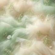 ヒメ日記 2025/10/16 19:32 投稿 Madonna【マドンナ】 Evolution 2nd