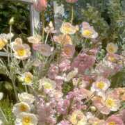 ヒメ日記 2025/10/17 19:32 投稿 Madonna【マドンナ】 Evolution 2nd