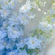 ヒメ日記 2025/10/24 19:22 投稿 Madonna【マドンナ】 Evolution 2nd