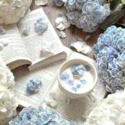 ヒメ日記 2025/10/27 01:28 投稿 Madonna【マドンナ】 Evolution 2nd